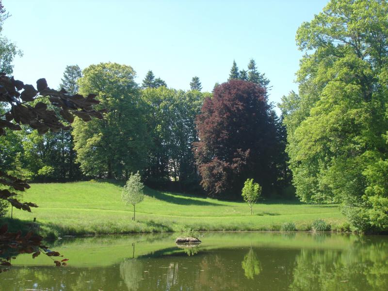 Arboretum du Château de Neuvic d'Ussel, 19160 Neuvic -1
